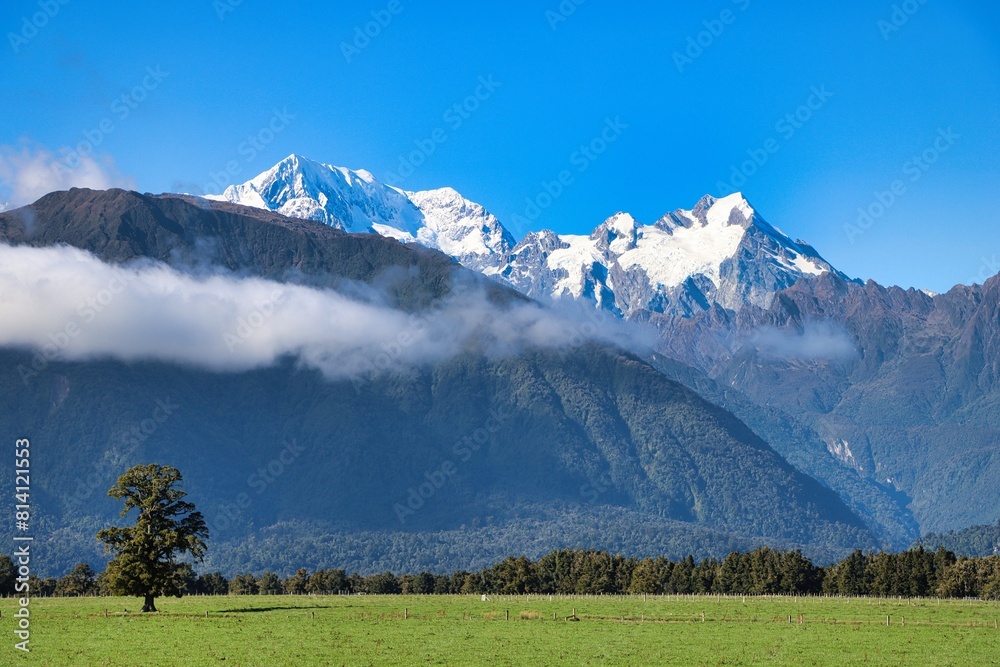 Obraz premium New Zealand
