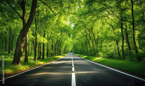 A long road towards the hor...