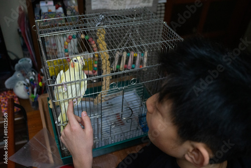インコ　ペット　鳥かご　少年　オカメインコ　可愛い