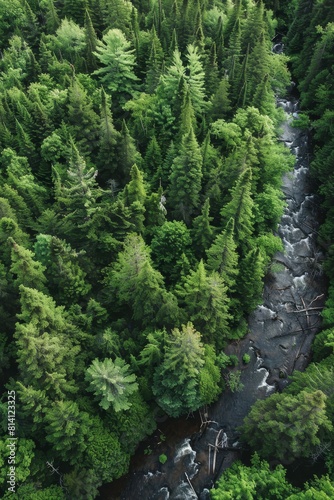 river in the forest aerial view Generative AI photo