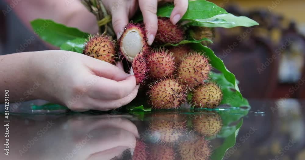 How To Open Rambutan Rambutan fruit peel Indian Ayurveda Medicated Fruits Closeup of ...