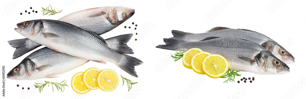Sea bass fich isolated on white background . Top view. Flat lay Sea bass fich isolated on white background . Top view. Flat lay