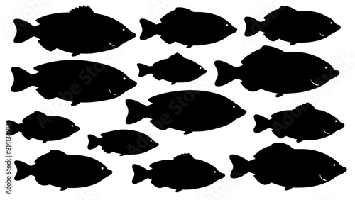 a variety of tilapia fish types from around the world, with each silhouette