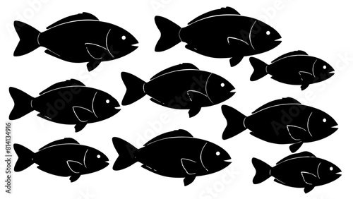 a variety of tilapia fish types from around the world, with each silhouette