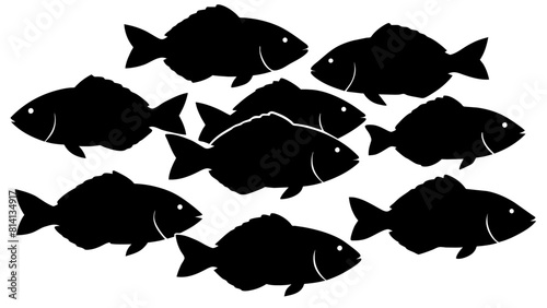 a variety of tilapia fish types from around the world, with each silhouette