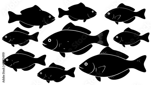 a variety of tilapia fish types from around the world, with each silhouette