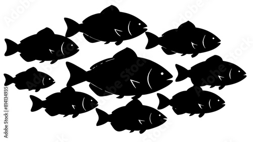 a variety of tilapia fish types from around the world, with each silhouette