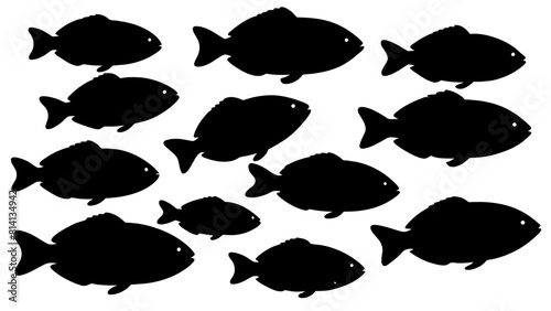 a variety of tilapia fish types from around the world, with each silhouette