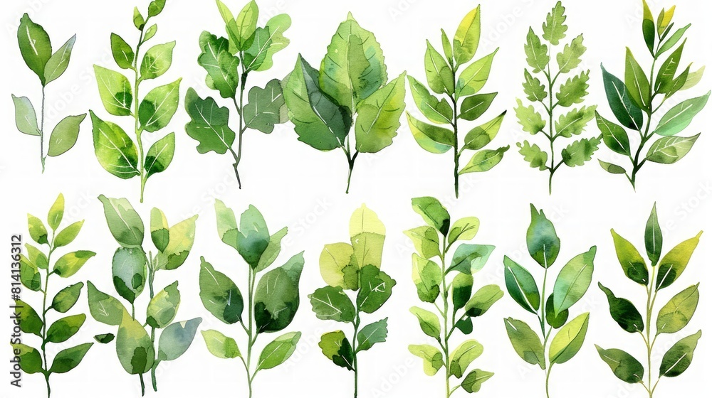 Watercolor illustration of leaves Watercolor illustration of leaves