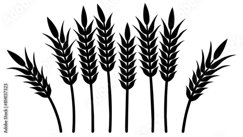 corn stalks and barley grain, bundled together in a versatile cornstalk silhouette collection