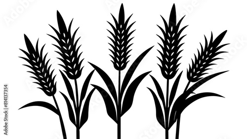 corn stalks and barley grain  bundled together in a versatile cornstalk silhouette collection  24 