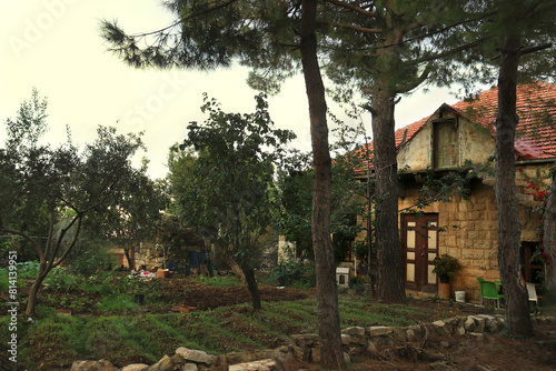 Lebanese House and Backyard