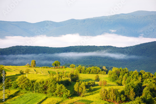 mountainous rural landscape in the morning. mist in the distant valley. trees and fields on the hill. carpathian countryside of ukraine