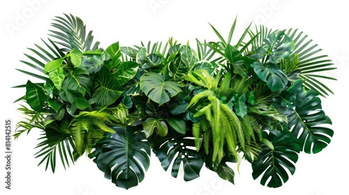 A vibrant arrangement of tropical foliage featuring Monstera  palm leaves  and Bird s nest fern  expertly assembled to serve as an indoor garden backdrop