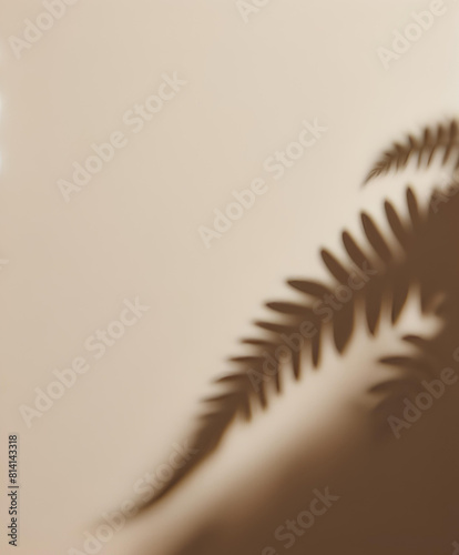 sfondo bianco beige con ombra di pianta felce in luce naturale estetica minimale fotografica pulita raffinata photo