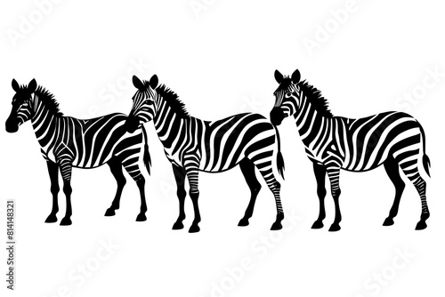 zebra line art silhouette illustration