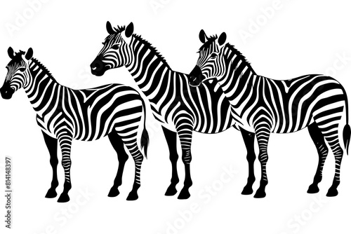 zebra line art silhouette illustration