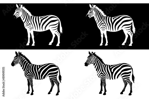 zebra line art silhouette illustration