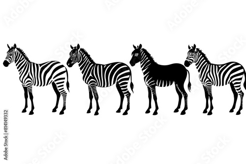 zebra line art silhouette illustration