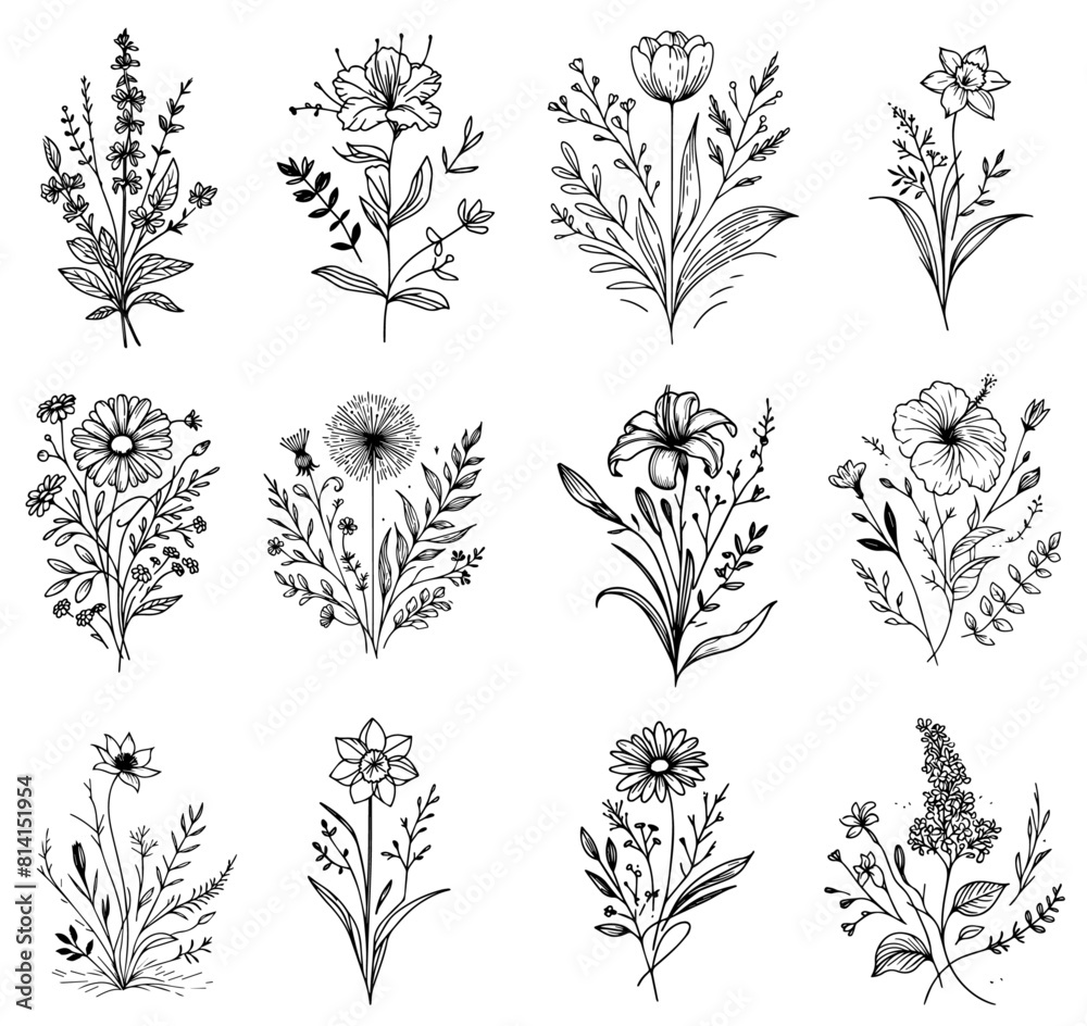 flowers herbs plants leaves wild flowers, vector black and white with transparent background, monochrome colorless illustration, decorative shape sketch for laser cutting engraving and printing