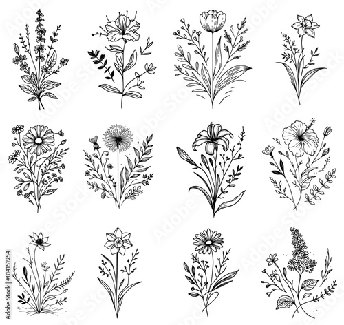 flowers herbs plants leaves wild flowers  vector black and white with transparent background  monochrome colorless illustration  decorative shape sketch for laser cutting engraving and printing