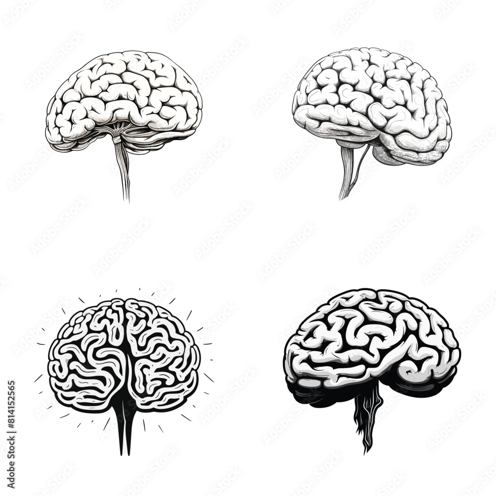 brain vector set. Outline set of brain vector for web design isolated on white background brain vector set. Outline set of brain vector for web design isolated on white background