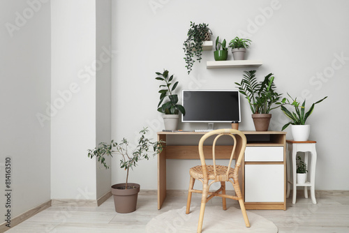 Interior of light office with workplace  shelves and green plants