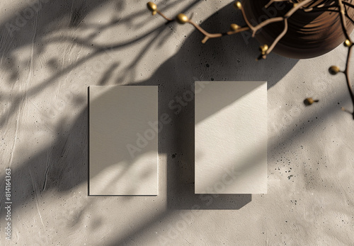 Traditional business card or poster mock-up showing blank paper cards on the ground next to a branch casting a natural shadow