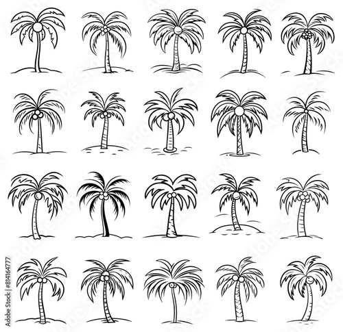 black vector pattern abstract art and decoration palm tree, seamless nocolor shapes isolated monochrome transparent background, overlay texture, decorative print laser cutting engraving desig © Split