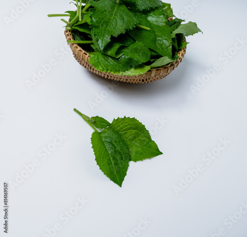 Chwinamul, green leaves close-up