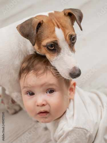 Cute baby boy and Jack Russell terrier dog lying in an embrace on a white background. Vertical photo.  © Михаил Решетников