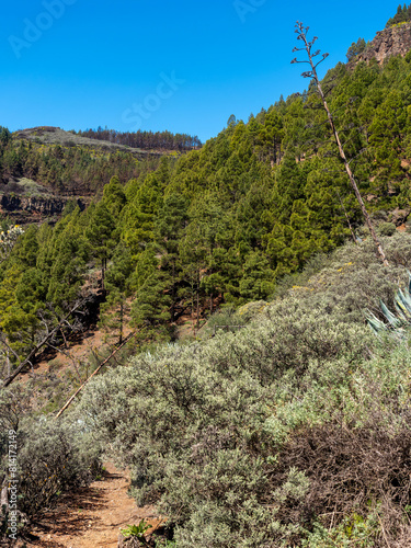 Panoramic landscape from the Marteles viewpoint Gran Canaria photo