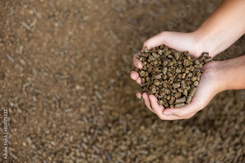 Female farmer hands folded in shape of heart holding handful of calf pellets, high quality organic granulated feed containing cereals, soybean meal and cottonseed meal. Cropped shot..