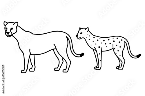 cheetah line art silhouette illustration