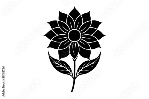 zenobia flower vector illustration