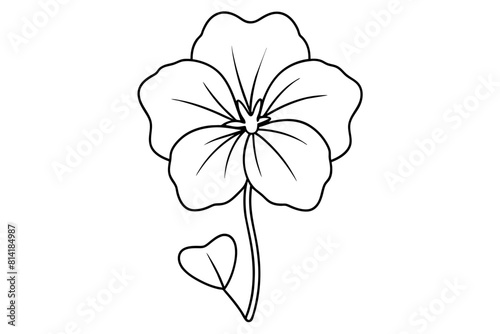 nasturtium flower vector illustration
