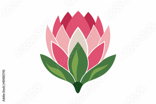 king protea flower vector illustration