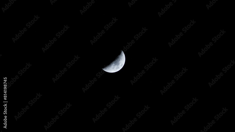 moon moon