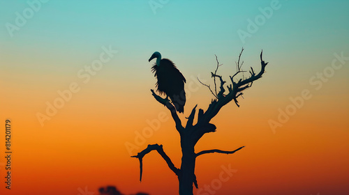 Perched Majesty: A Primeval Illustration of Vulture Symbolism