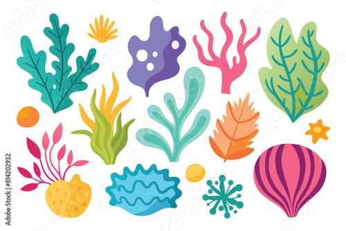 Collection of seaweeds and corals.