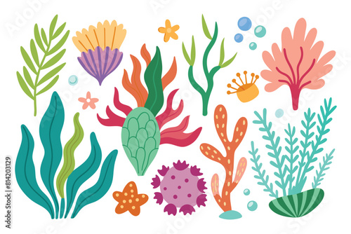 a collection of seaweeds and corals.