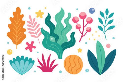 Cartoon underwater plants and marine life elements set. Stylized sea flora vector illustration.