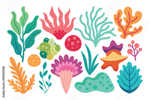 Collection of seaweeds and corals.