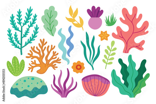 Collection of seaweeds and corals.