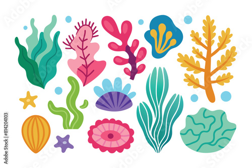 Collection of seaweeds and corals.