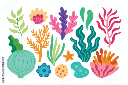 Colorful underwater plants, coral, and marine life vector set. Seaweed, algae, and ocean flora collection.