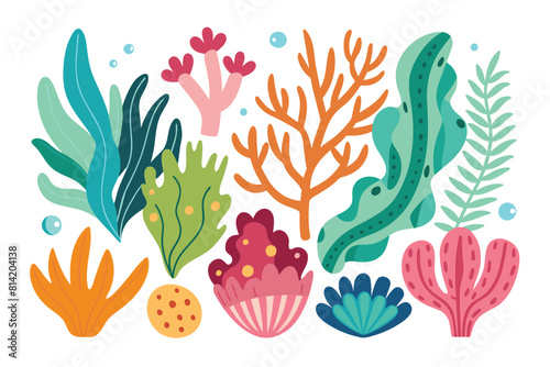 Collection of seaweeds and corals.