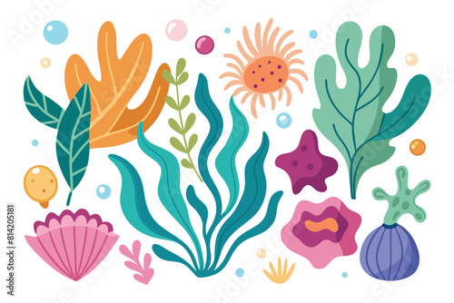 Collection of seaweeds and corals.