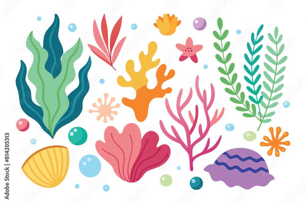 Collection of seaweeds and corals. Collection of seaweeds and corals.