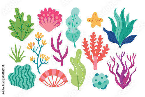 Colorful Underwater Plants and Marine Life Set - Flat Vector Illustration